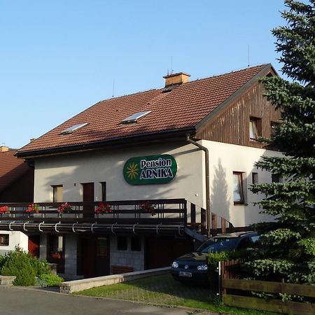 Pension Arnika Destne v Orlickych horach Exterior foto