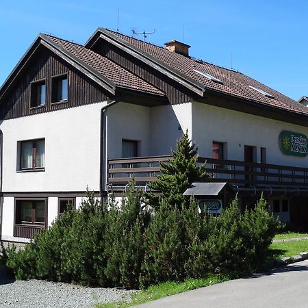 Pension Arnika Destne v Orlickych horach Exterior foto