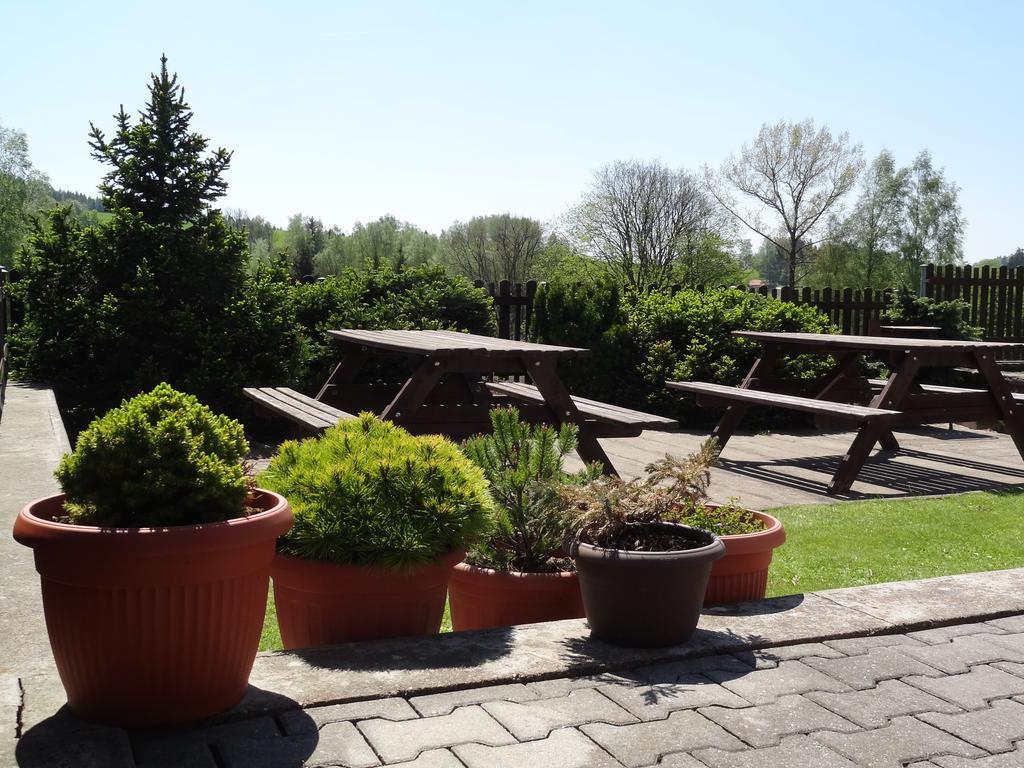 Pension Arnika Destne v Orlickych horach Exterior foto