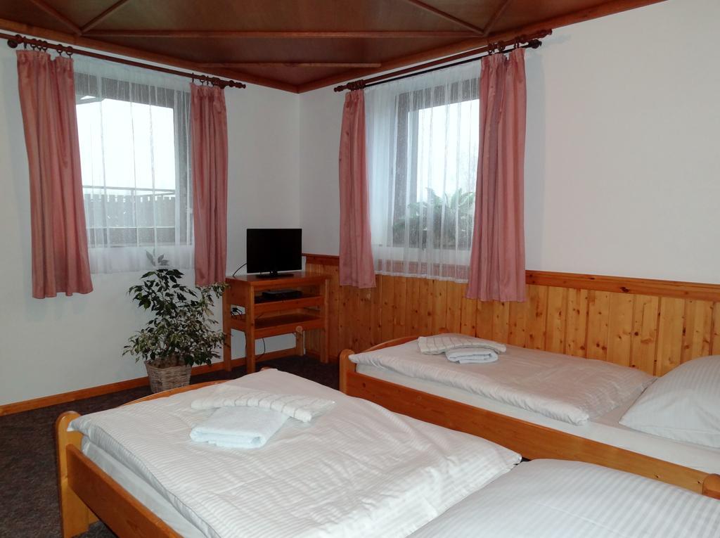 Pension Arnika Destne v Orlickych horach Exterior foto