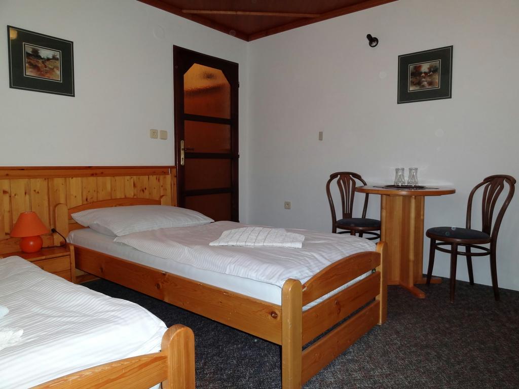 Pension Arnika Destne v Orlickych horach Exterior foto