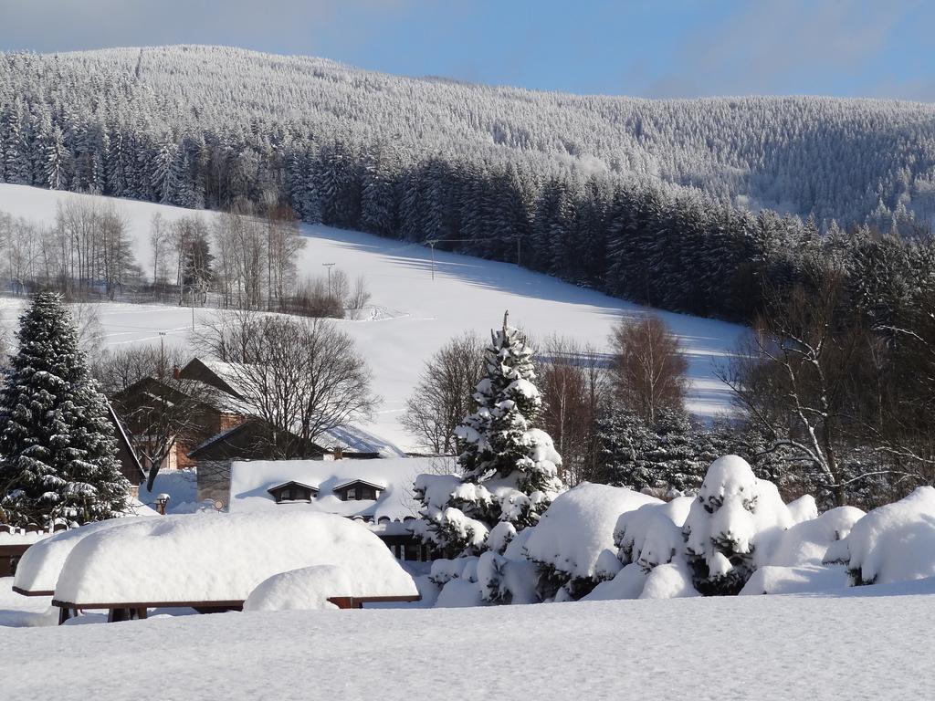 Pension Arnika Destne v Orlickych horach Exterior foto