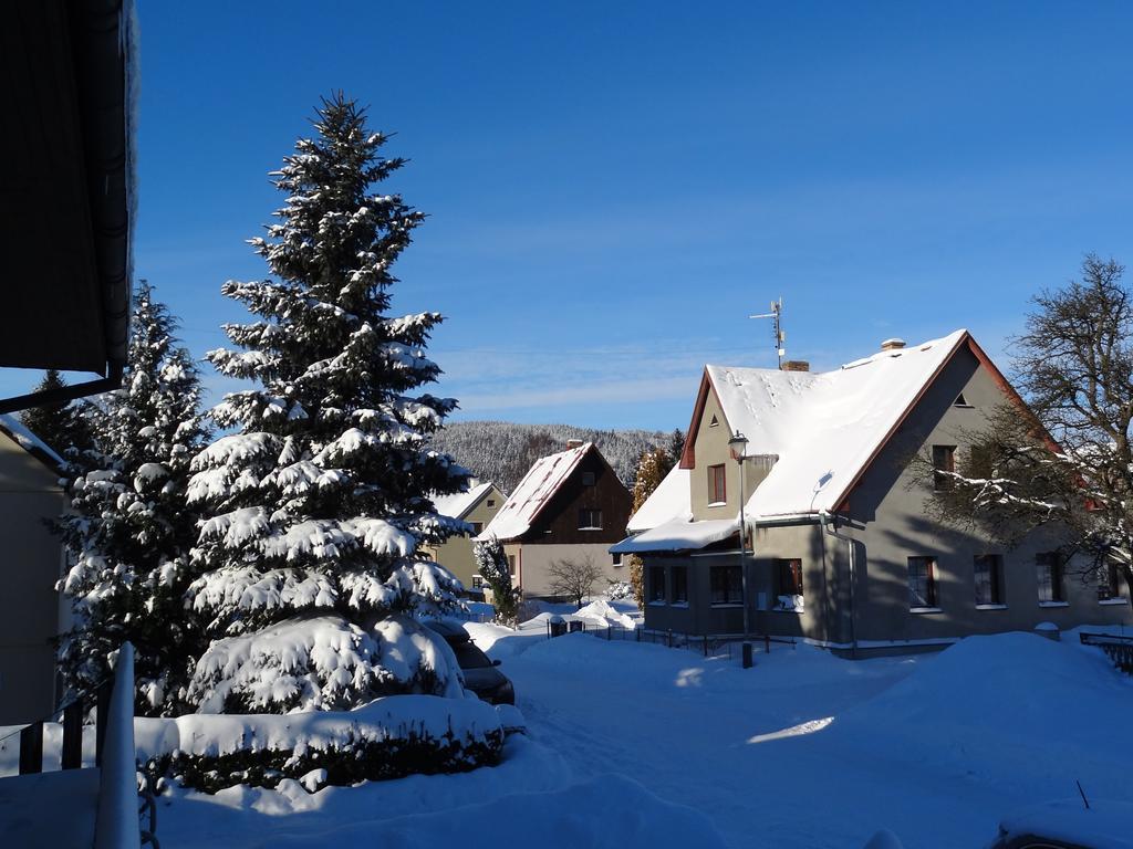 Pension Arnika Destne v Orlickych horach Exterior foto